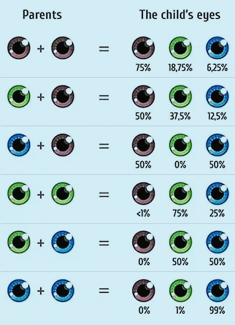 Baby Eye Color Image